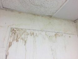 Water Stain On Drywall? How To Fix Them