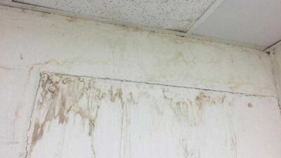 Water Stain On Drywall? How To Fix Them