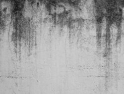 Easy Fix To Water Stain On Wall, You Should Know!