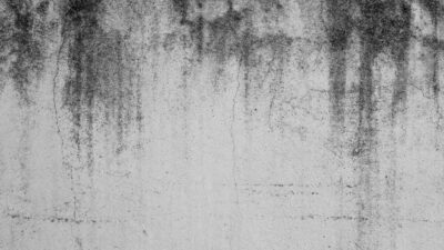 Easy Fix To Water Stain On Wall, You Should Know!