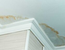 Water Stain On Ceiling, How to Remove it With And Without Paint