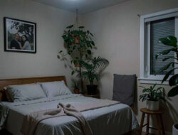 7 Best Indoor Plants for Bedrooms with No Windows (Low-Light Survivors)