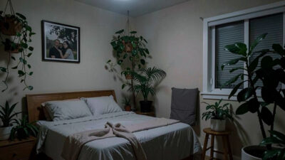 7 Best Indoor Plants for Bedrooms with No Windows (Low-Light Survivors)